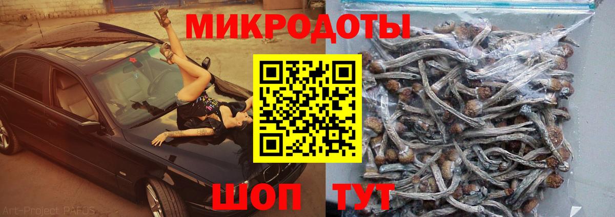 Псилоцибиновые грибы мухоморы Лениногорск